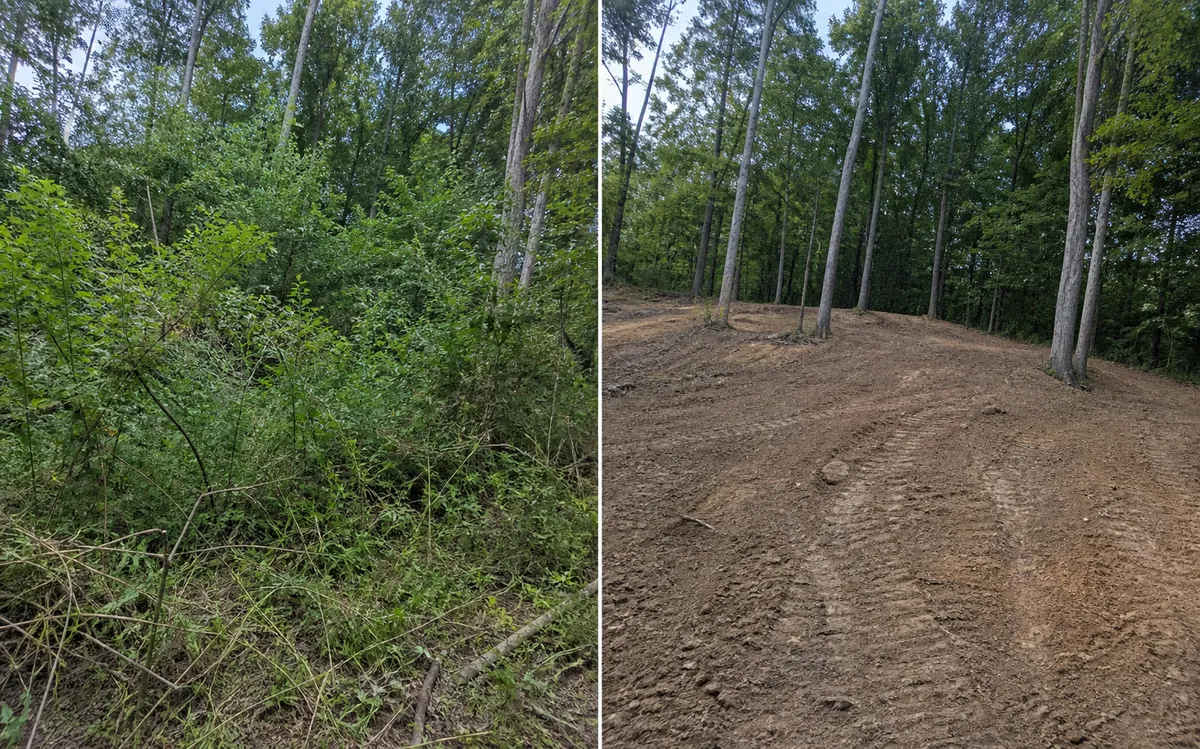 Illustrative comparison of a typical overgrown area and a cleared service goal; not Calder Peak project photography