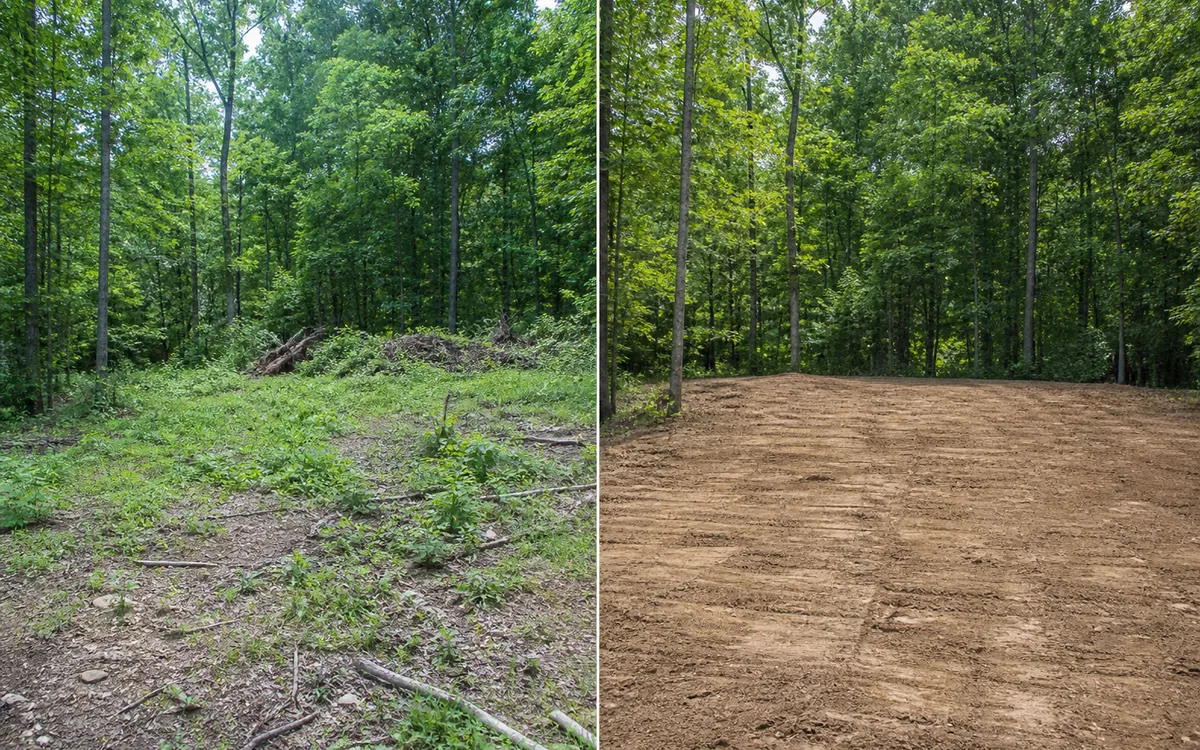 Illustrative comparison of a typical overgrown area and a cleared site-preparation goal; not Calder Peak project photography