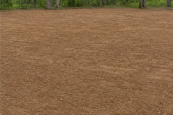 Representative cleared and graded ground in a wooded area.