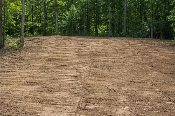 Representative cleared and graded area within a wooded property.
