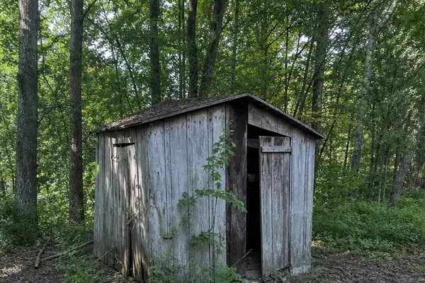 Representative small weathered shed in a wooded area.